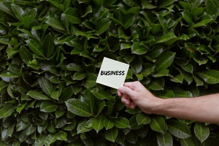 legacy brand steady business growth